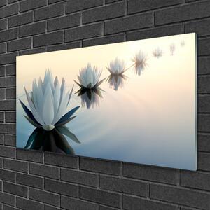 Obraz na skle Vodní Lilie Bílý Leknín 100x50 cm