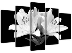 Obraz na plátně Bílé lilie - 5 dílný Rozměry: 100 x 70 cm
