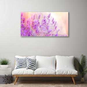 Plexisklo-obraz Levandulové Pole Slunce Květiny 100x50 cm