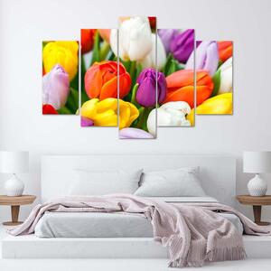 Obraz na plátně Barevné tulipány - 5 dílný Rozměry: 100 x 70 cm