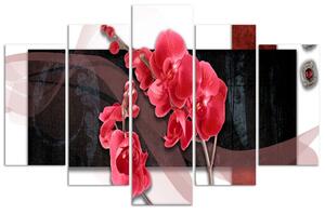Obraz Uspořádání Červené orchideje - 5 dílný Velikost: 100 x 70 cm, Provedení: Obraz na plátně