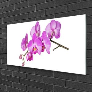 Obraz na skle Vstavač Orchidej Květiny 125x50 cm