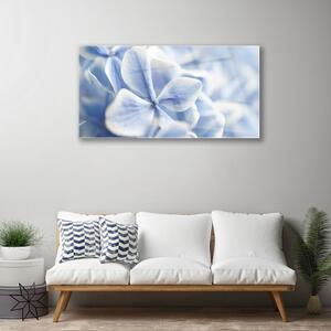 Obraz na skle Květiny Plátky Příroda 100x50 cm