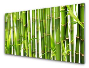Skleněné obklady do kuchyně Bambusové Výhonky Listy Bambus 140x70 cm