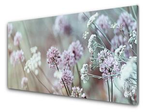 Obraz na skle Polní Květiny Louka Příroda 100x50 cm