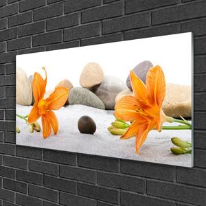 Obraz na skle Lilie Kameny Příroda 100x50 cm