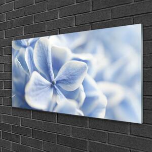 Obraz na skle Květiny Plátky Příroda 100x50 cm