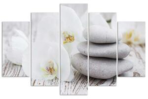 Obraz na plátně Bílá zenová orchidej a kameny - 5 dílný Rozměry: 100 x 70 cm