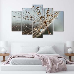 Obraz na plátně Kapky rosy a pavučina - 5 dílný Rozměry: 100 x 70 cm