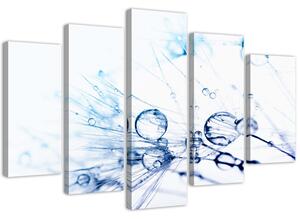 Obraz na plátně Kapky vody na fénu - 5 dílný Rozměry: 100 x 70 cm