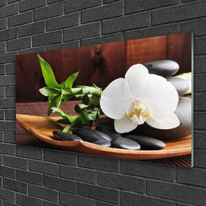 Obraz na skle Kameny Zen Bílá Orchidej 100x50 cm