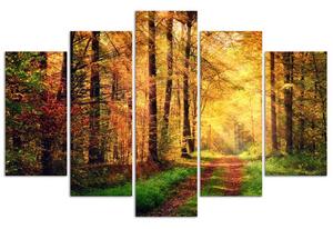 Obraz na plátně Forest road - 5 dílný Rozměry: 100 x 70 cm