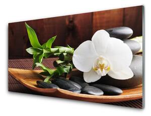 Obraz na skle Kameny Zen Bílá Orchidej 100x50cm