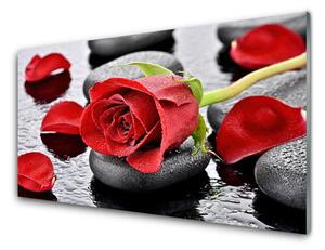 Skleněné obklady do kuchyně Růže Květ Kameny Zen 100x50 cm