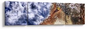 Obraz vlka (170x50 cm)