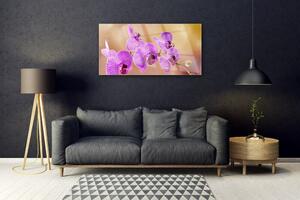 Obraz na skle Orchidej Výhonky Květiny Příroda 120x60 cm