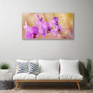 Obraz na skle Orchidej Výhonky Květiny Příroda 120x60 cm