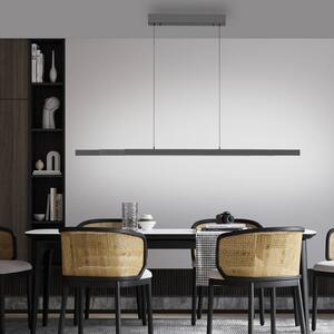 Paul Neuhaus LED závěsné světlo Adriana Comfort Lift, šedé,, stmívatelný, Hliník / šedá / zinek, Obývací pokoj / jídelna, Hliník, Moderní