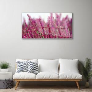 Obraz na skle Květiny Louka Příroda 100x50 cm