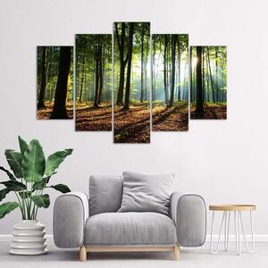Obraz na plátně Sluneční paprsky v lese - 5 dílný Rozměry: 100 x 70 cm