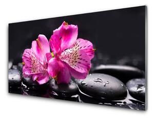 Skleněné obklady do kuchyně Květiny Kameny Zen Lázně 140x70 cm