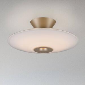 Paul Neuhaus LED stropní svítidlo Elipsa, bílá/bronzová, Ø 35 cm, stmívatelný, Bílá / opál, Obývací pokoj / jídelna, Sklo