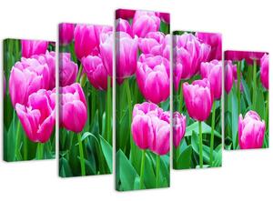 Gario Obraz Růžové tulipány Velikost: 100 x 70 cm, Provedení: Obraz na plátně