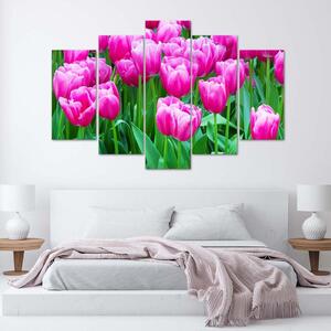 Obraz Růžové tulipány - 5 dílný Velikost: 100 x 70 cm, Provedení: Panelový obraz
