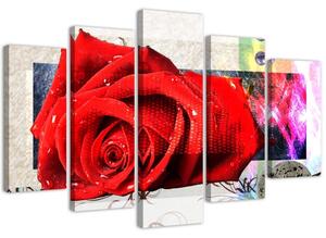 Gario Obraz Mottled rose Velikost: 100 x 70 cm, Provedení: Obraz na plátně