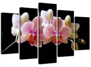 Obraz na plátně Růžová orchidej - 5 dílný Rozměry: 100 x 70 cm