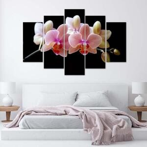 Obraz na plátně Růžová orchidej - 5 dílný Rozměry: 100 x 70 cm