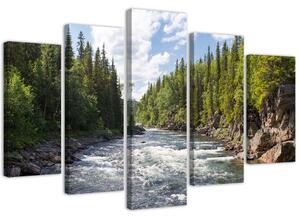 Obraz na plátně Řeka v lese - 5 dílný Rozměry: 100 x 70 cm