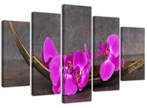 Gario Obraz Fialové orchideje Velikost: 100 x 70 cm, Provedení: Obraz na plátně