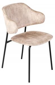 Jídelní židle TRACY šampaňská/černá samet Nábytek | Jídelní prostory | Jídelní židle | Všechny jídelní židle