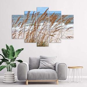Obraz na plátně Rákosí u moře - 5 dílný Rozměry: 100 x 70 cm