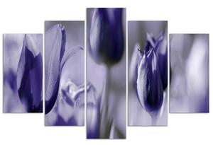 Obraz na plátně Fialové tulipány na louce - 5 dílný Rozměry: 100 x 70 cm