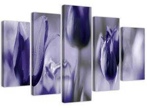 Gario Obraz Fialové tulipány na louce Velikost: 100 x 70 cm, Provedení: Obraz na plátně
