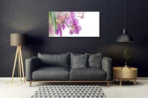 Obraz na skle Motýli Květiny Příroda 100x50 cm