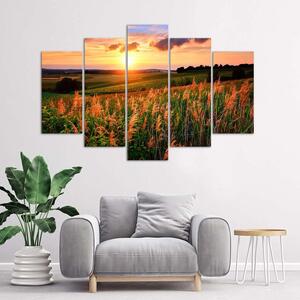 Obraz na plátně Západ slunce nad loukou - 5 dílný Rozměry: 100 x 70 cm