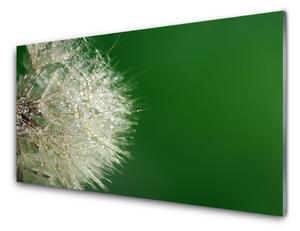 Kuchyňský skleněný panel Pampeliška Rostlina 120x60 cm
