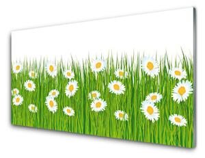 Kuchyňský skleněný panel Tráva Sedmikrásky Příroda 100x50 cm