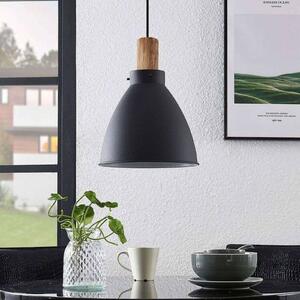 Lindby závěsné světlo Trebale, E27, Ø 28 cm, černé, kov, stmívatelný, Černá, Obývací pokoj / jídelna, kov, Skandinávský