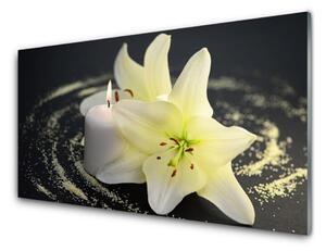 Skleněné obklady do kuchyně Květ Rostlina Příroda 140x70 cm