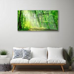 Obraz na skle Les Cestička Stromy Příroda 140x70 cm