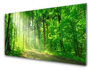Obraz na skle Les Cestička Stromy Příroda 120x60 cm
