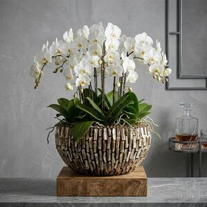 Váza na květiny Aurelia 45 × 22 cm Dark Pearl - 0 - 30cm - Skleněná vlákna - 31 do 50cm