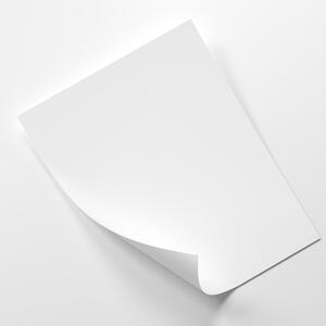 Plakát Kapky na listu kapradí Barva rámu: Bílá, Rozměry: 100 x 70 cm