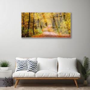 Obraz na skle Les Rostlina Cestička Příroda 140x70 cm