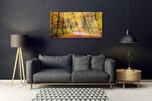 Obraz na skle Les Rostlina Cestička Příroda 140x70 cm