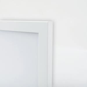 Plakát Lev s barevnou hřívou Barva rámu: Bílá, Velikost: 100 x 70 cm